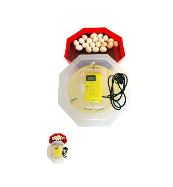 Incubator Electric Cleo-5T